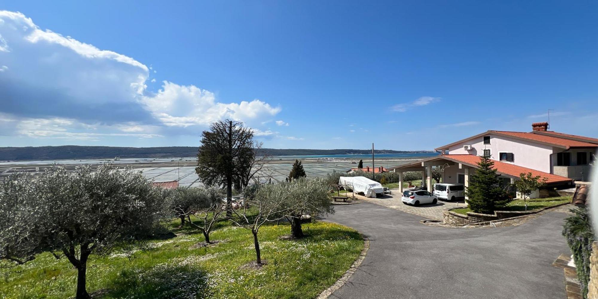 Blue Horizon Apartments Seca Portorož Exterior foto